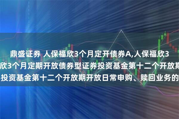 鼎盛证券 人保福欣3个月定开债券A,人保福欣3个月定开债券C: 人保福欣3个月定期开放债券型证券投资基金第十二个开放期开放日常申购、赎回业务的公告