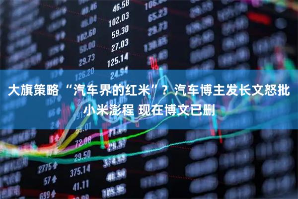大旗策略 “汽车界的红米”？汽车博主发长文怒批小米澎程 现在博文已删